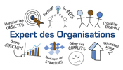 Logo Expert des organisations